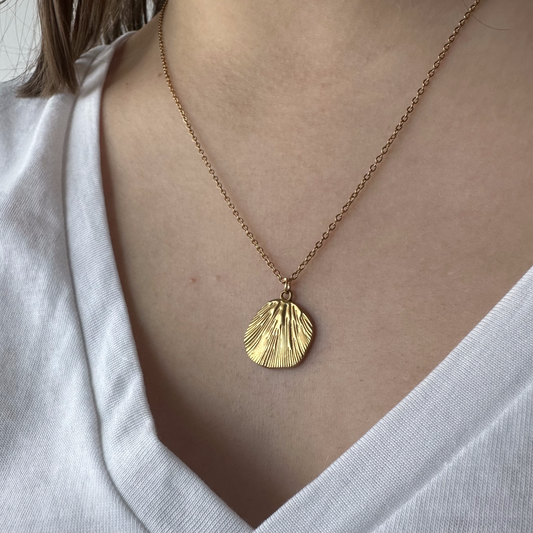 Colar concha